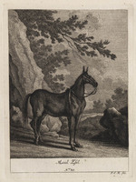 KG 01079
          <br/>
          Entwurf einiger Maulthiere und Esel. Siebender Theil. (18 bladen)
          <br/>
          <em>Ridinger, Johann Elias (1698-1767)</em>